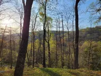Minutes to the Blue Ridge Pkwy + Firepit &  Wood
