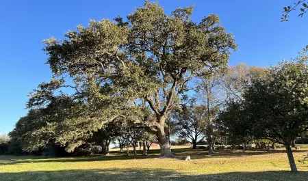 Modern Barndominium on 20 quiet acres 10 miles from Round Top Antique Fair