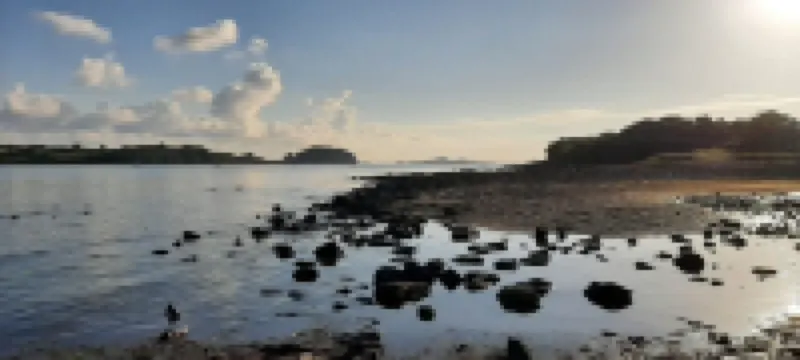 Très Joli Studio, Neuf, à 50 m de la mer