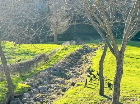 Guadalupe Riverfront Condo, the River is literally in the back yard!
