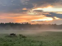 Get in touch with nature.