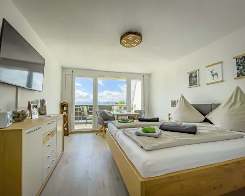 FeWo Längl - modern "Alpenguck" apartment with pool and sauna in the Allgäu Hotels in Scheidegg