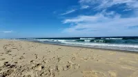 Shannons Tree House Outer Banks