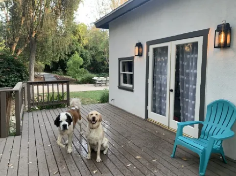 NEW! Private Guesthouse w/ shared pool & fire pit