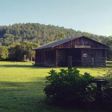 The CABIN on CULVER CHRISTMAS TREE FARM