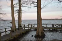 For Larger Groups (Up To 24) Right on Reelfoot Lake--Private Dock And Pier