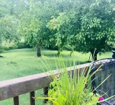 Smoky Mountain Riverhouse....Peaceful...Lots of Parking...Near Convention Center 와일더네스 앳 더 스모키스 주변 호텔