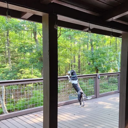 Travelers Rest Cabin