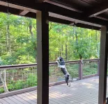 Travelers Rest Cabin Hotels in Harris County