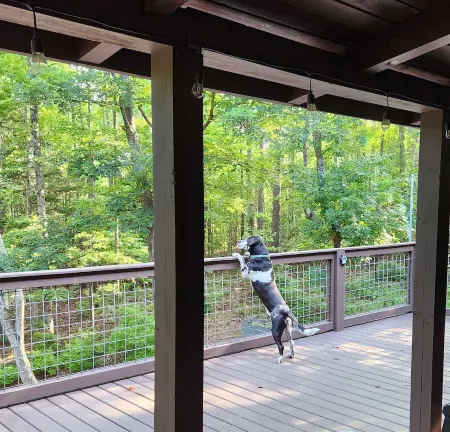 Travelers Rest Cabin