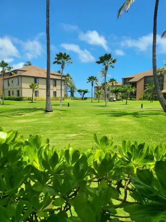 PERFECT KAUAI Condo!! Steps from Beach/2bd2bth Washer/Dryer AC -Free Parking