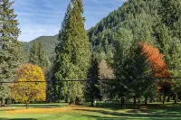 Mt Hood Escape, 3 bedroom, 2 bath, plus loft, sleeps 10, Professionally Cleaned Hotels in Welches