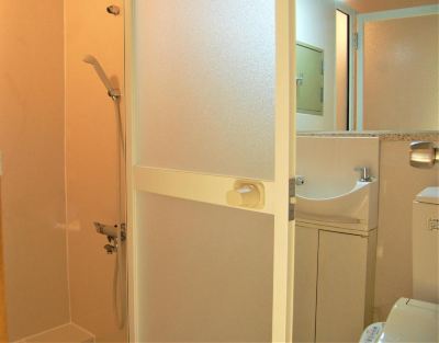 その他 胡蝶蘭の写真