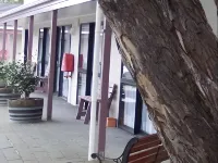 Camellia Court Motel Hotels in Lower Hutt
