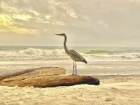 Beachfront & Beautiful - Spacious 3BR/2BA On Dauphin Island - Amazing Amenities - Beach