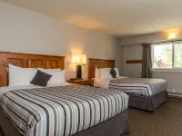 Red Tree Lodge Hotels in Fernie