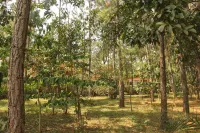 Saltek Forest Cottages