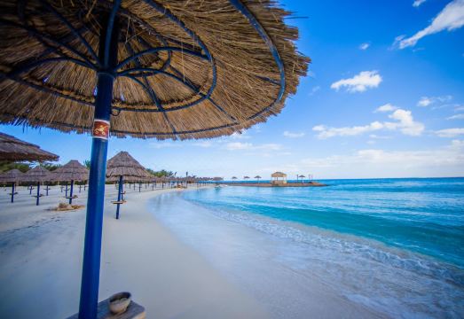 3. 캐럴 보 리바쥬..