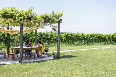 Agriturismo Da Zeffi Hotels in Maserada Sul Piave