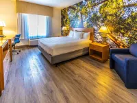 Comfort Inn Hanford Lemoore Hotels in Hanford