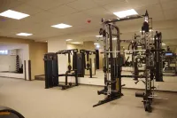 The View - Gym