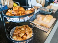 Alba Hôtel Lac d'Orient 奧布省酒店