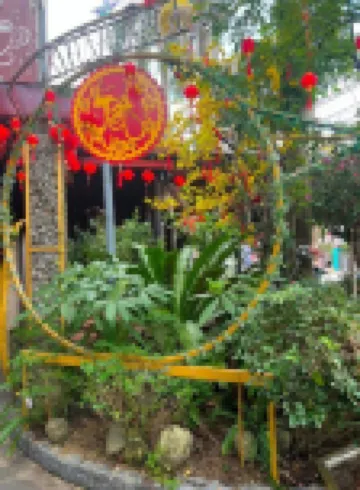 An Vien Coffee & Villa Hotels in Dien Ban