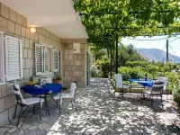 Apartments Olive Hotels in Mlini