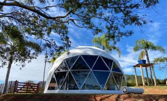 Rua José Joaquim Nogueira