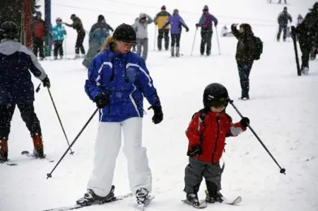 Airport Inn Flint Отели рядом с достопримечательностью «Phi Delta Theta Fraternity»