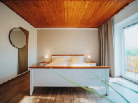 Hotel Leo Hotels in Steyr