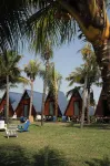 Arena Hostel Hotels in El Paredon