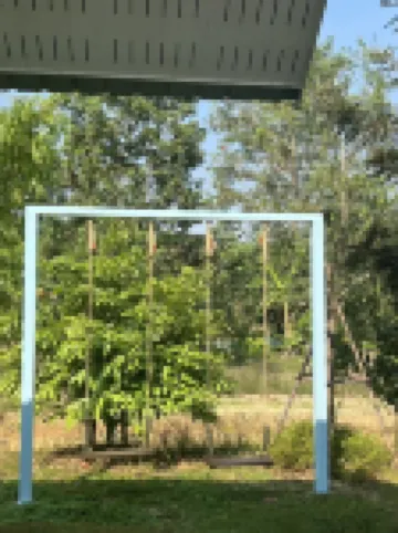 บานาน่า เพลส รีสอร์ท