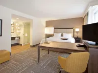 Hampton Inn & Suites Minneapolis/Downtown Hotels near Minneapolis Institute of Art