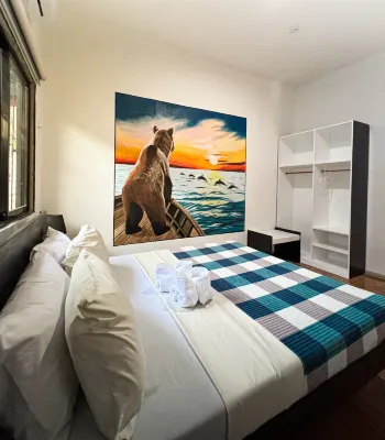 Crazy Bears Hostel