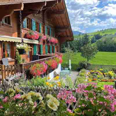 Alpenchalet Weidhaus Gstaad Hotel Exterior