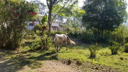 Casa LUNAH Cabalgatas y Meditación Отели рядом с достопримечательностью «Rancho El Reencuentro»