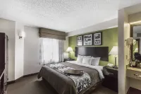 Rodeway Inn Các khách sạn ở Knoxville