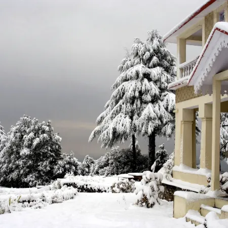 Tree of Life Grand Oak Manor Binsar