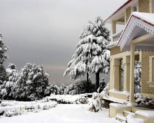 Tree of Life Grand Oak Manor Binsar Hotels in Almora