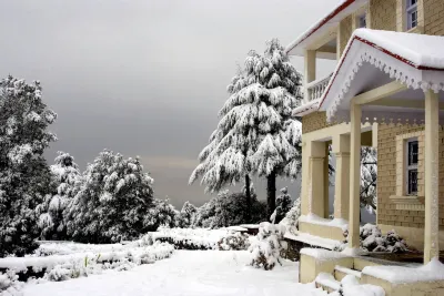 Tree of Life Grand Oak Manor Binsar Hotele w: 