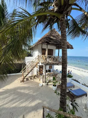 Mango Beach House Hotels in Jambiani