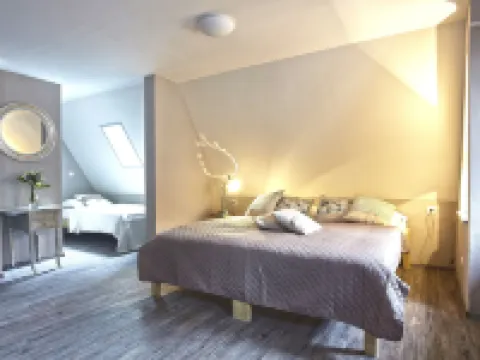 Penzion Kostnický dům Hotels in Tabor