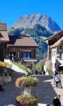 Hôtel de Ville Hotels in Charmey