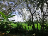 Ama Villa Homestay