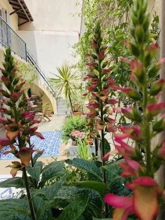 Patio Del Mar Отели рядом с достопримечательностью «Quartier de l'Ile de Penotte»