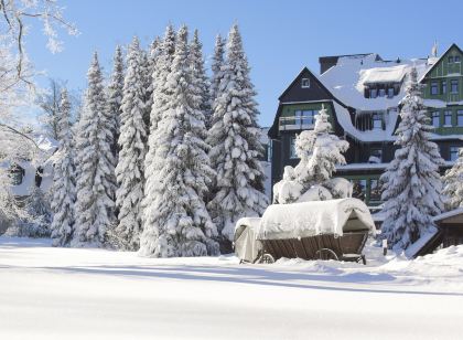 Berg & Spa Hotel Gabelbach
