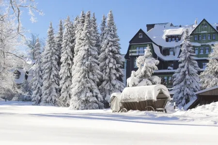 Berg & Spa Hotel Gabelbach Отели в г. Нойштадт-ам-Ренштайг