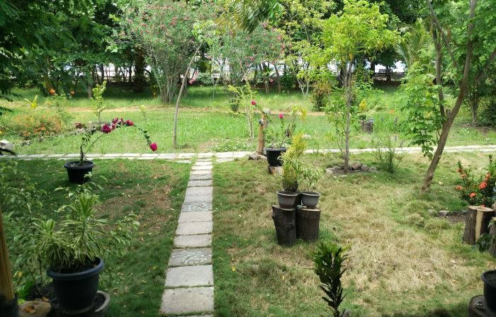 Budi Sun Resort