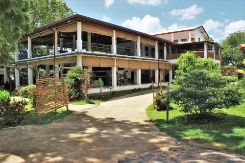 Blue Turtle Hotel